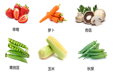 蔬菜預冷