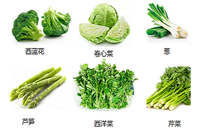 蔬菜預冷
