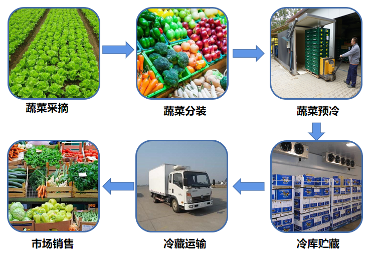 果蔬預冷流程